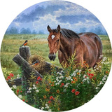 Cavalo