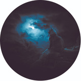 Capa Estepe Pneu Personalizada Ecosport Aircross Gato Noite