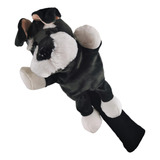 Cão