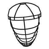 Ferro