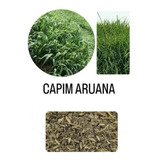 Ovinos