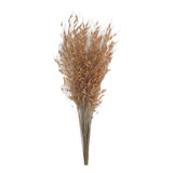 Capim Dourado Brinco De Ouro Princesa Flor Seca P Decoração