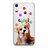 Corgi