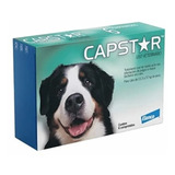 Capstar 57mg Cães 11 A 57kg Com 6 Comprimidos Antipulgas