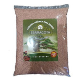 Caqueira Cerâmica Para Bonsai 5 Litros
