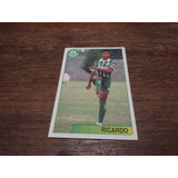 Card Palmeiras 1994 Ricardo
