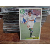 Card Palmeiras 1994   Sorato