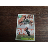 Card Palmeiras 1995 Edilson