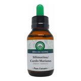 Cardo Mariano Silimarina Extrato 60ml Tintura Mãe