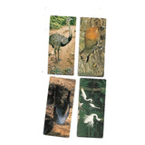 Cards Pantanal 