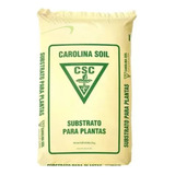 Plantar