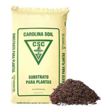 Germinação