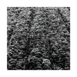Carpete Para Garimpo Ouro Canelado Emborrachado 60cm X 2m