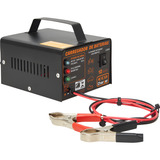 Carregador Baterias 12v Carro Moto 100 Automático
