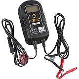 Carregador Inteligente De Bateria 220 V 240 V Cib 110 Vonder 