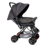 Carrinho Bebê Berço Rover Prime Baby Alça Reversível Cinza