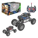Carrinho Controle Remoto Off Road Rally 7 Funções Esportivo Cor Preto