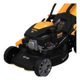 Carrinho Cortador De Grama Gasolina Recolhedor 150cc Denzel