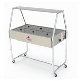 Carro Buffet Térmico Self Service 6 Cubas Prb 06 Prógas 220v