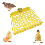 Carrossel De Ovos Incubadora Caseira Para Galinhas E Patos