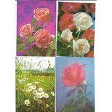 Cartão Postal Antigo Tema Flores Déc 80 Lote 30 Un V3