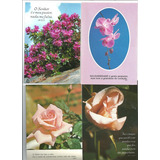 Cartão Postal Antigo Temas Flores Déc 80 Lote 40 Ud V2