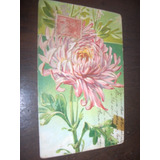 Cartão Postal Flor Em Alto Relevo 1907