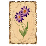 Cartao Postal Flores Violetas Em Alto Relevo Anos 1920