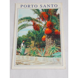Cartão Postal Porto Santo Ilha Da Madeira Tamareira