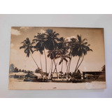 Cartão Postal Praia Sete Coqueiros Alagoas