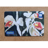 Orquídeas