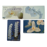 Orquídeas