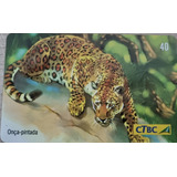 Cartao Telefônico Onça Pintada Raro Para Colecionadores