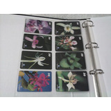 Cartão Telefônico Orquídeas Completo Amazonas