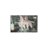 Cartão Telefonico Telemar   Serie Orquídeas   Pará  c F
