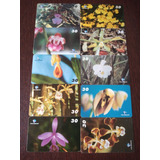 Cartões Telefonicos Orquídeas Nativas Da Bahia
