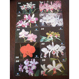 Cartões Telefonicos Série Aranda Orquídeas