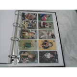 Completo
