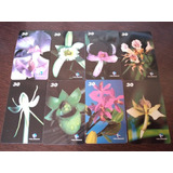 Cartões Telefonicos Série Orquídeas Do Amazonas
