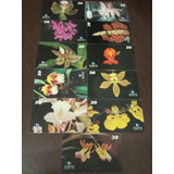 Cartões Telefonicos Série Orquídeas parà
