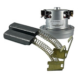 Carvão Soprador Pet Para Motor Electrolux Tf1s