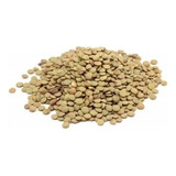 Casa Bela Lentilha Canadense Verde 1kg Premium