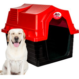 Casa Cachorro Grande N 4 Plastico Facil De Montar Resistente