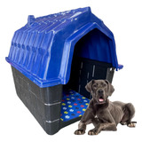 Casa Casinha Plastica Cachorro Cães Numero 8 Cor Azul