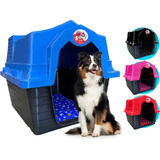 Casa Casinha Plástica Cachorro Número N 5 Colchao Grande Cor Azul