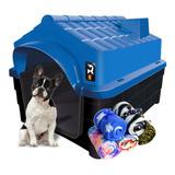 Casa Casinha Plástica Para Cães N03 Azul C 1 Manta De Brinde