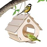 Casas Para Pássaros Para Fora Casas Para Pássaros Casa Alimentadora De Pássaros De Faça Você Mesmo Alimentador De Pássaros Doméstico Para Pendurar Pássaros De Ao Ar Livre Fácil De Limpar Hunya
