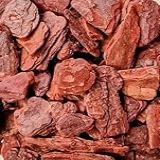 Casca De Pinus Para Decoração E Substrato De Orquídeas Agro Soil 3L