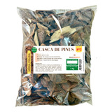 Casca De Pinus Polida N2 Média Premium Decoração 5kg