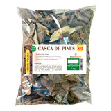 Casca De Pinus Polida N2 Média Premium Decoração 7kg